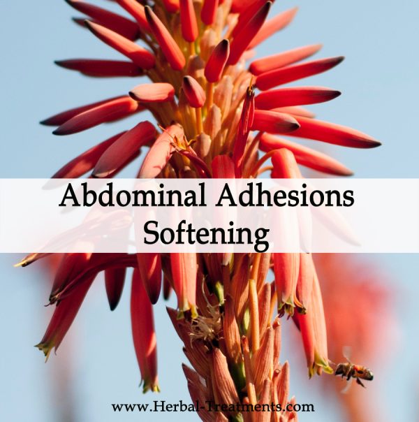 Herbal Medicine for Abdominal Adhesions Softening