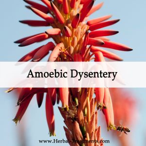 Herbal Medicine for Amoebic Dysentery