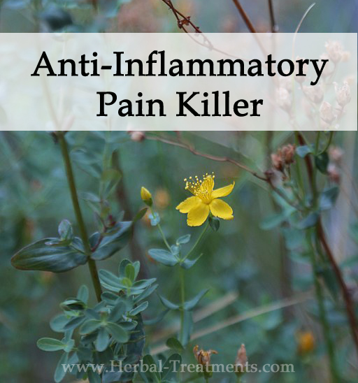 Herbal Anti-Inflammatory and Pain Killer Alternative Medicine