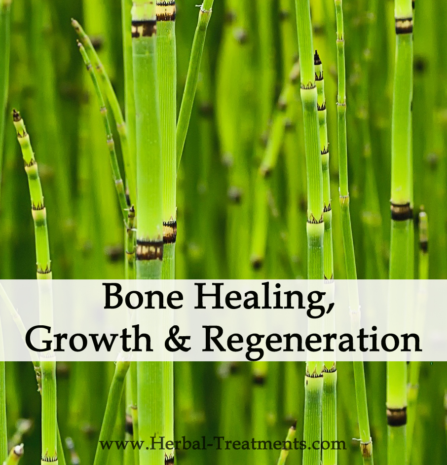 Herbal Medicine for Bone Healing, Growth & Regeneration Avnayt