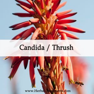 Herbal Medicine for Candida or Thrush
