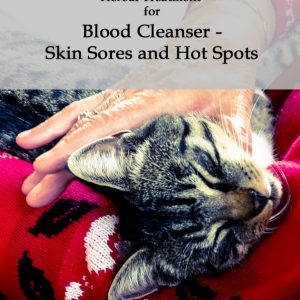 Herbal Treatment for Blood Cleanser - Skin Sores and Hot Spots in Cats
