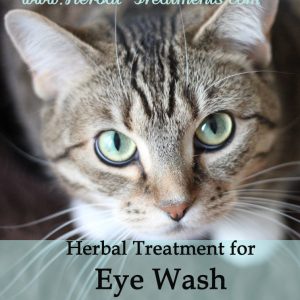 Herbal Treatment for Eye Wash for Cats