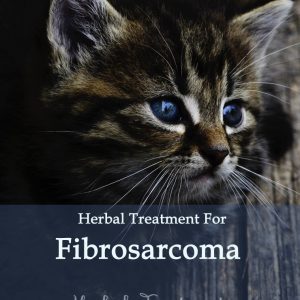 Herbal Treatment for Cancer - Fibrosarcoma in Cats