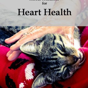 Herbal Treatment for Heart Health in Cats