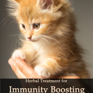 Herbal Treatment - General Immune Booster for Cats