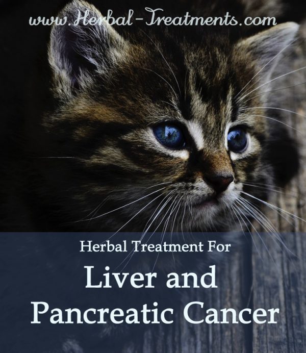 Herbal Treatment for Cancer - Liver and Pancreatic Cancer in Cats