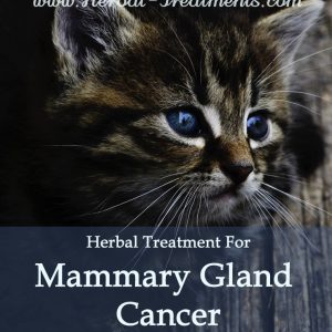 Herbal Treatment for Cancer - Mammary Gland Cancer in Cats