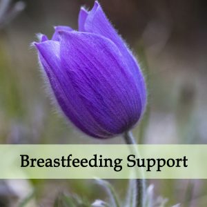 Herbal Medicine for Breastfeeding Difficulty