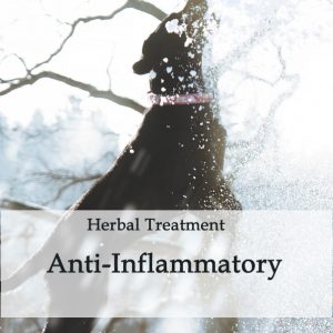 Herbal Treatment - Anti-Inflammatory in Dogs