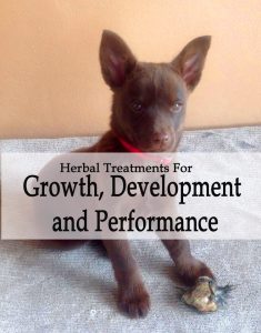 Herbal Treatments for Canine Athletic Performance, Growth and Development Support