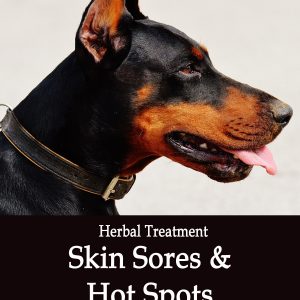 Herbal Blood Detoxifier - Skin Sores and Hot Spots in Dogs