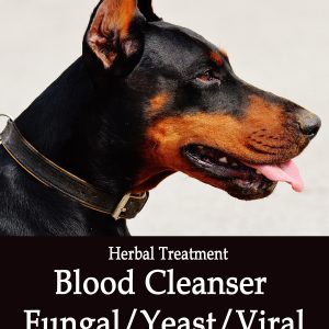 Blood Detoxification- Fungal / Yeast / Viral - for Dogs