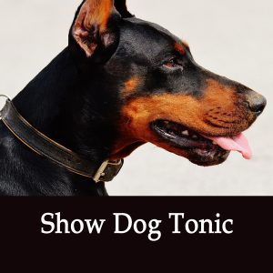 Show Dog Herbal Tonic for Dogs