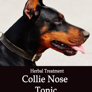 Collie Nose Herbal Tonic