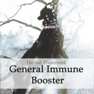 Herbal Treatment - General Immune Booster for Dogs