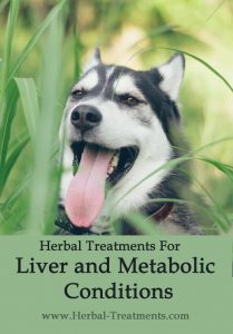Herbal Treatments for Liver and Metabolic Conditions