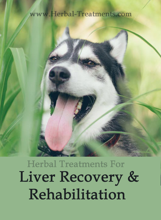 Herbal Treatment - Liver Recovery and Rehabilitation Tonic for Dogs