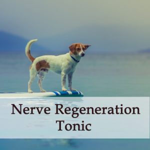 Herbal - Treatment - Nerve Regeneration Tonic for Dogs