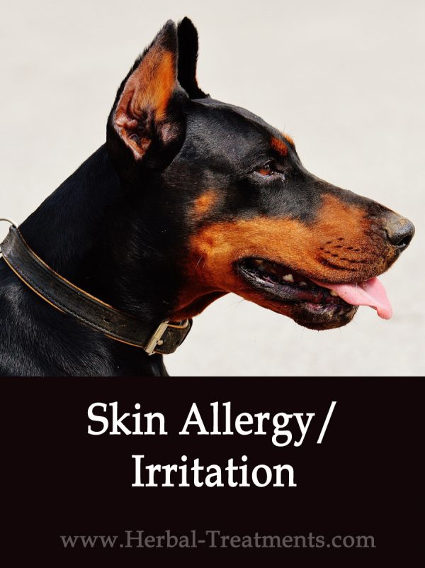 Skin Allergy/Irritation Herbal Tonic for Dogs