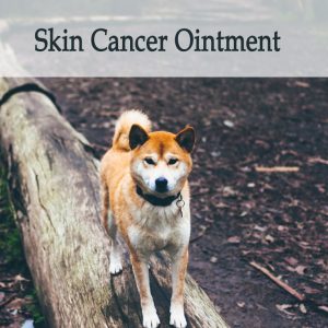 Herbal Treatment for Cancer - Skin Cancer Ointment for Dogs