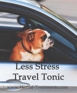Herbal Treatment - Less Stress Travel Tonic for Dogs