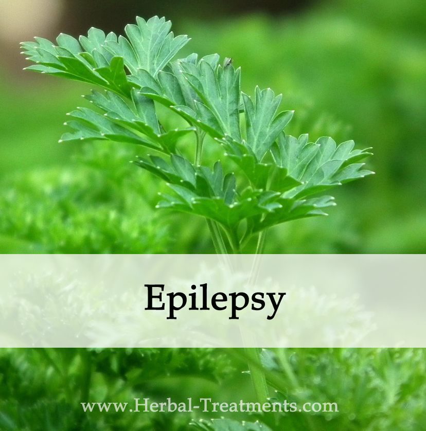 Herbal Medicine for Epilepsy Caraf Avnayt's Herbal Treatments