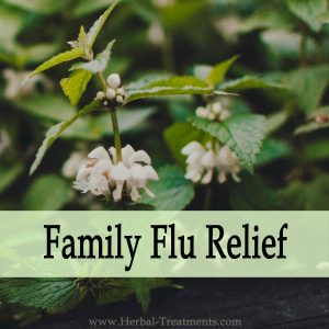 Herbal Medicine for Family Flu Relief & Recovery