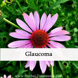 Herbal Medicine for Glaucoma