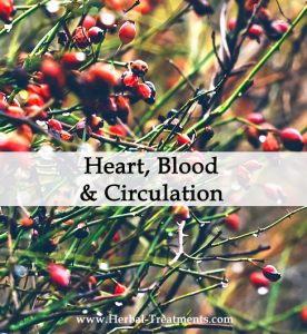 Herbal Treatments for Heart, Blood and Circulatory Conditions