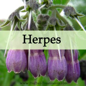 Herbal Medicine for Herpes