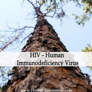 Herbal Medicine for HIV - Human Immunodeficiency Virus