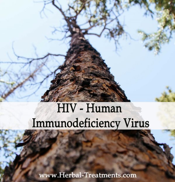 Herbal Medicine for HIV - Human Immunodeficiency Virus