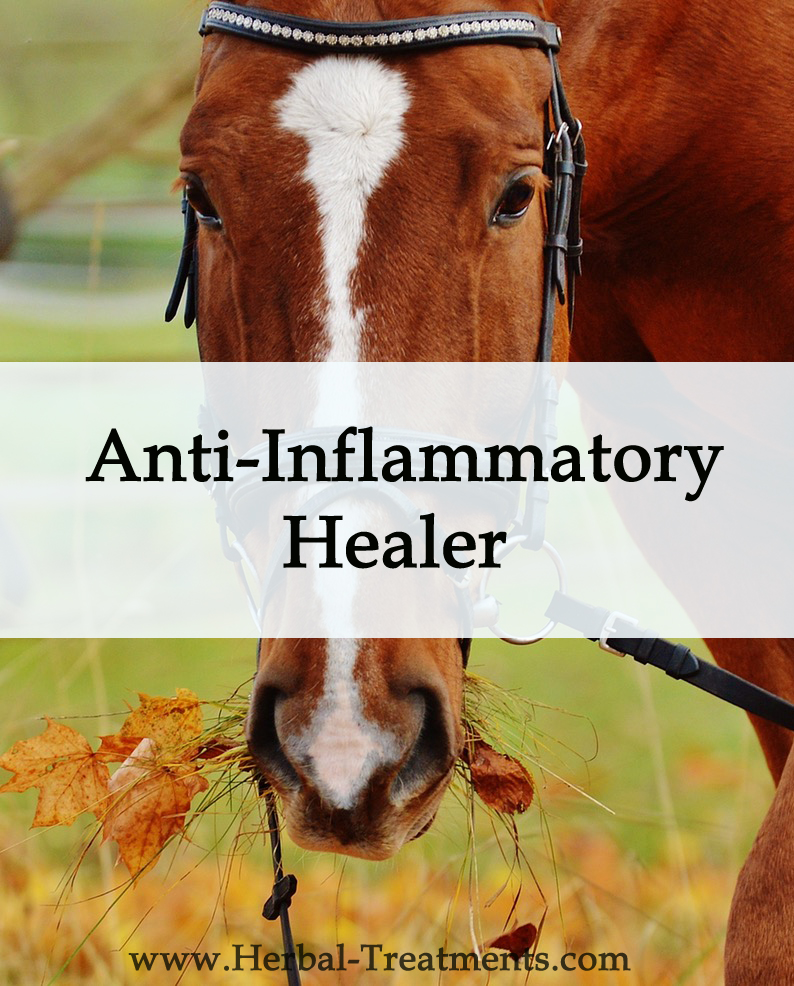 Herbal Treatment - Anti Inflammatory Healer for Horses