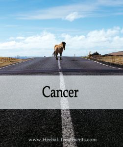 Herbal Treatments for Equine Cancer