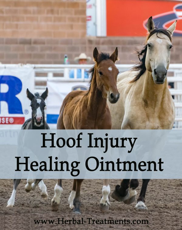 Hoof Injury Healing Ointment