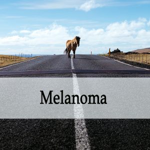 Herbal Treatment of Melanoma (Skin Cancer) in Horses
