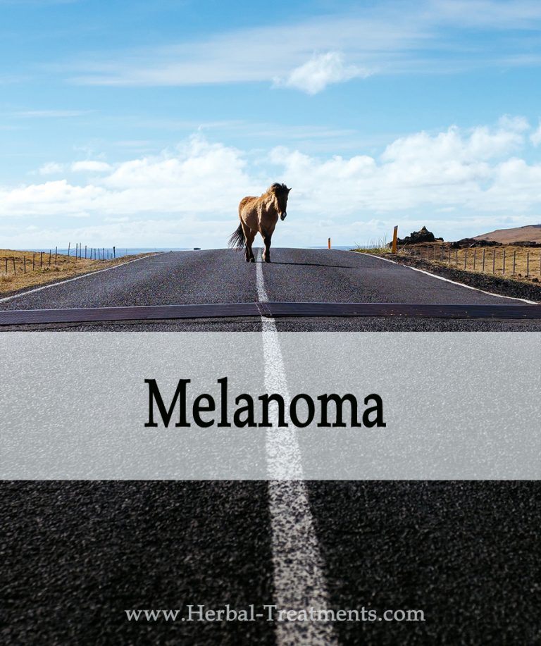 Melanoma (Skin Cancer) in Horses Heal your energy flow.