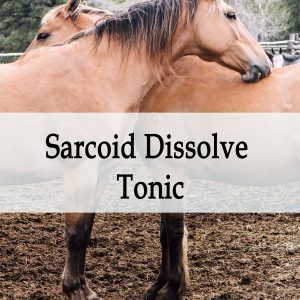 Herbal Treatment - Sarcoid Dissolve Tonic for Horses