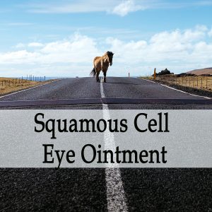 Herbal Treatment -Squamous Cell Carcinoma Ointment (Use Around the Eyes) for Horses