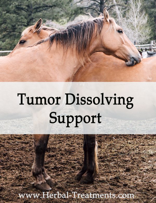 Herbal Treatment - Tumor Dissolving Support for Horses