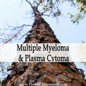 Herbal Medicine for Multiple Myeloma & Plasma Cytoma Cancer Recovery & Prevention