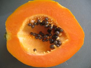 Carica Papaya is in Paw Paw Ointment used to carry herbal treatments.
