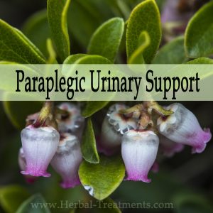 Herbal Medicine for Paraplegic Bladder & Urinary Support