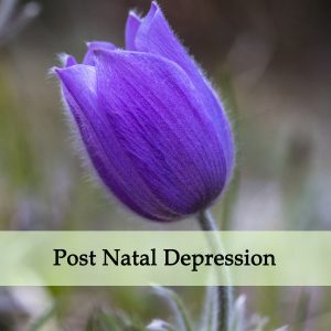 Herbal Medicine for Post Natal Depression