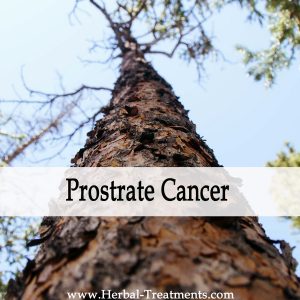 Herbal Medicine for Prostrate Cancer Recovery & Prevention