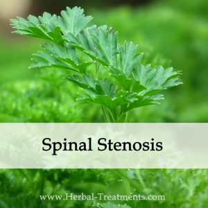 Herbal Medicine for Spinal Stenosis